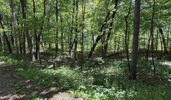ARROWHEAD ROAD lot 16, Amherst Junction, WI 54407