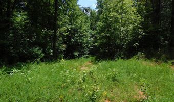 98 63 AC Pointer Rd, Alton, VA 24520