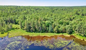 M19 L8 Church Farm Road, Beddington, ME 04622