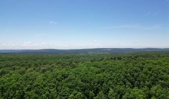 Tract 46 Trail Ridge Rd, Albion, OK 74571