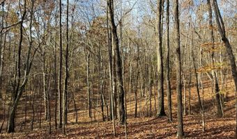 15548 Highway 15 N, Ackerman, MS 39735