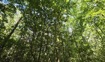 416 Summers Ln, Brookhaven, MS 39601