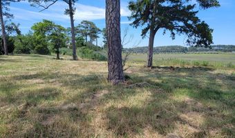 SEAVIEW ST lot 26, Accomac, VA 23301
