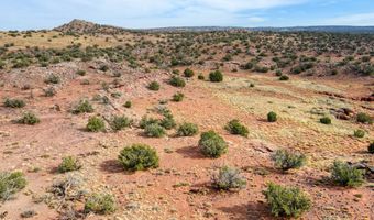 27 County Road N8477, Concho, AZ 85924