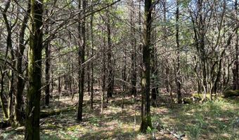 796 Blue Branch Rd, Bennington, OK 74723