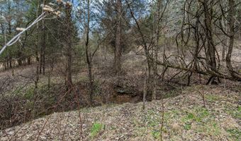 Smithtown Road, Afton, TN 37616