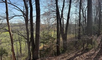 PAYNES POND RD, Arvonia, VA 23004