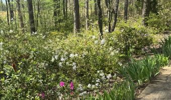 147 Lake Shore Ter, Ashland, MS 38603