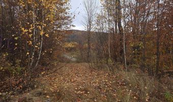 Hallowed View Drive, Berlin, NH 03570