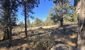 12174 Night Owl Dr, Bonanza, OR 97623