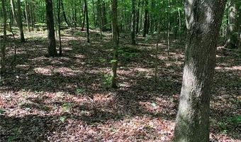 7700 Poole Cir Tract A, Alto, GA 30510
