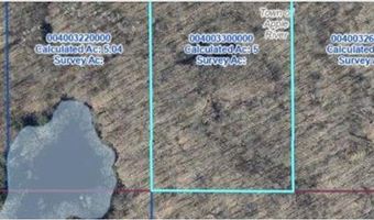 Lot 113 162nd Avenue, Apple River, WI 54810