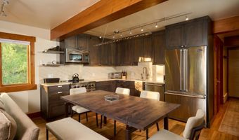 131 E Durant Ave 410, Aspen, CO 81611
