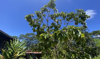15-1719 13TH Ave, Keaau, HI 96749