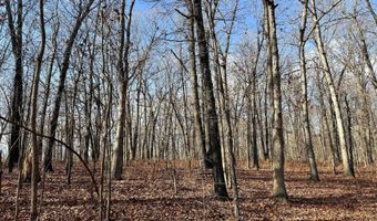 Farm Rd 1187 Lc, Ash Grove, MO 65604