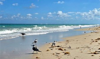 10175 Collins Ave 208, Bal Harbour, FL 33154