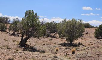27 N 9183, Concho, AZ 85924