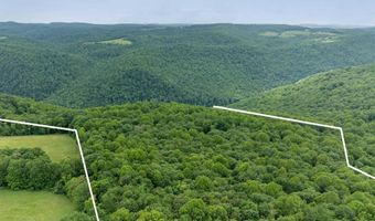 000 Bear Ridge Rd, Albright, WV 26519