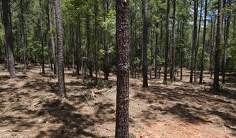 Lot 6 Lighthouse Point, Lincolnton, GA 30817