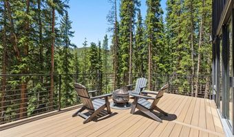 301 Quandary Rd, Breckenridge, CO 80424