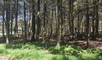 Lakeside Lane, Albrightsville, PA 18210