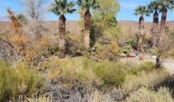4855 Gold Butte Rd, Bunkerville, NV 89007