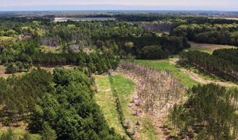 Chicago Avenue lot 1, Arkdale, WI 54613