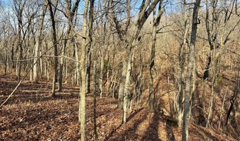 Farm Rd 1187 Lc, Ash Grove, MO 65604