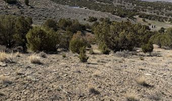 Andy's Way, Elko, NV 89801