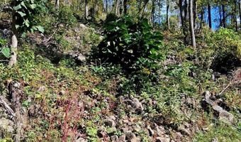 0 Mount Horeb Rd, Amherst, VA 24521