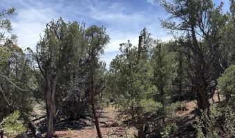 179 Arizona Rd, Ash Fork, AZ 86320