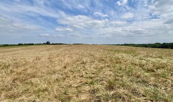 RR 1 Box 438K County Rd O-532, Ava, MO 65608