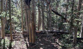 W Hunter Ridge Dr, Brian Head, UT 84719