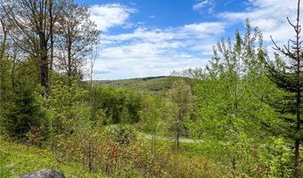 State Route 28 lot # 10, Andes, NY 13731