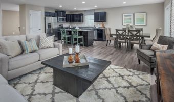 45 Boots Ridge Way Plan: Dominica Spring, Youngsville, NC 27525