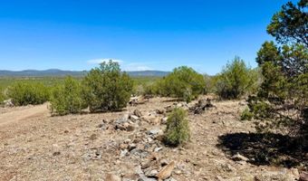 Stagecoach Dr 47 Acres, Ash Fork, AZ 86320