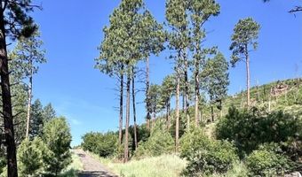 13886 County Road 501, Bayfield, CO 81122