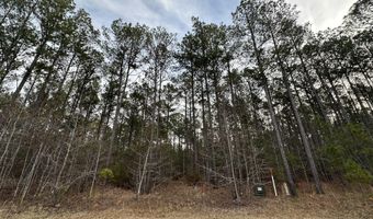 Lot C112 DOCK SIDE Lane, Lincolnton, GA 30817
