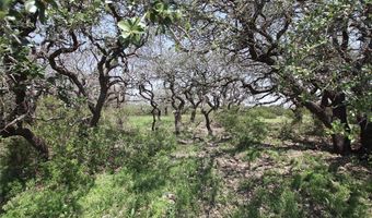 Tbd FM 221 - Tract 3, Pottsville, TX 76565