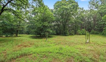 1667 Oakwood Trl, Allegan, MI 49010