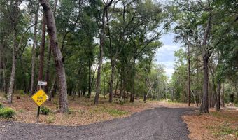 SE 152ND - RAVENSWOOD RD PARCEL B & C LOTS 16 17 Place, Altoona, FL 32702
