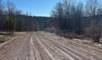 L21.1 Alder Pond Road, Andes, NY 13740