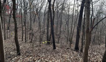 Highway 105, Baldwin, GA 30511