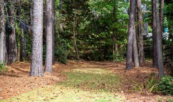 1506 Redwater Branch Ct, Apex, NC 27502