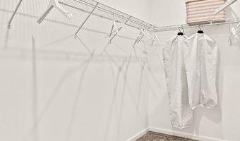 2593 Rider Rain Ln, Apopka, FL 32703