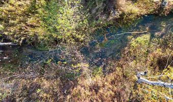 8745 SANDY LOT #92, Alanson, MI 49706