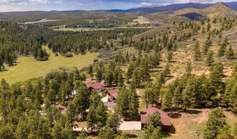 1005 Beaver Creek Ranch Dr, Bayfield, CO 81122
