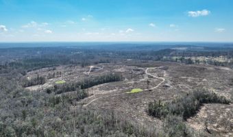919 County Road 6628, Banks, AL 36005