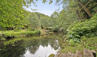 10251 Ridgview Ter, Birkenfeld, OR 97016