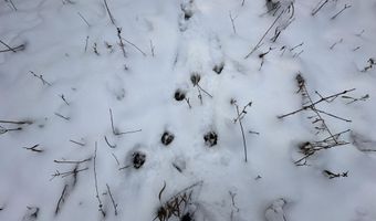 2770 S Wagner Rd, Ann Arbor, MI 48103